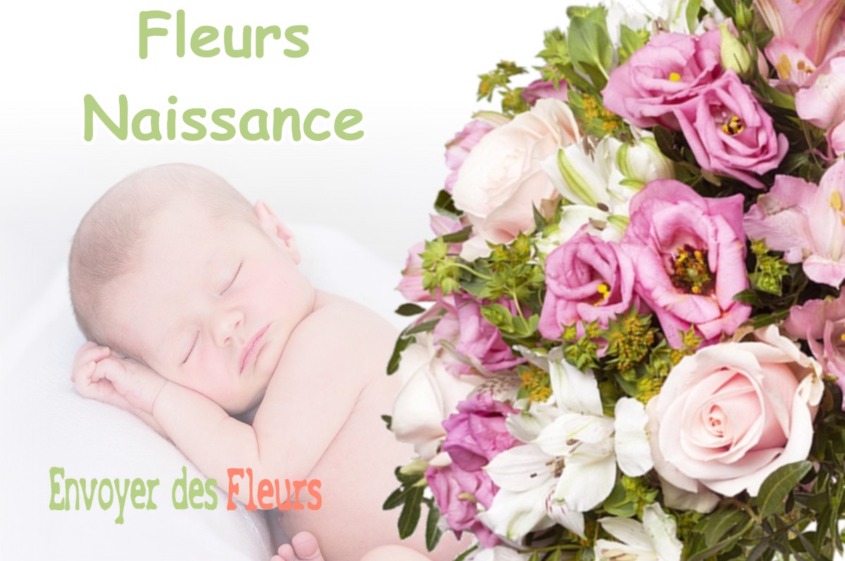 lIVRAISON FLEURS NAISSANCE à LUNAX